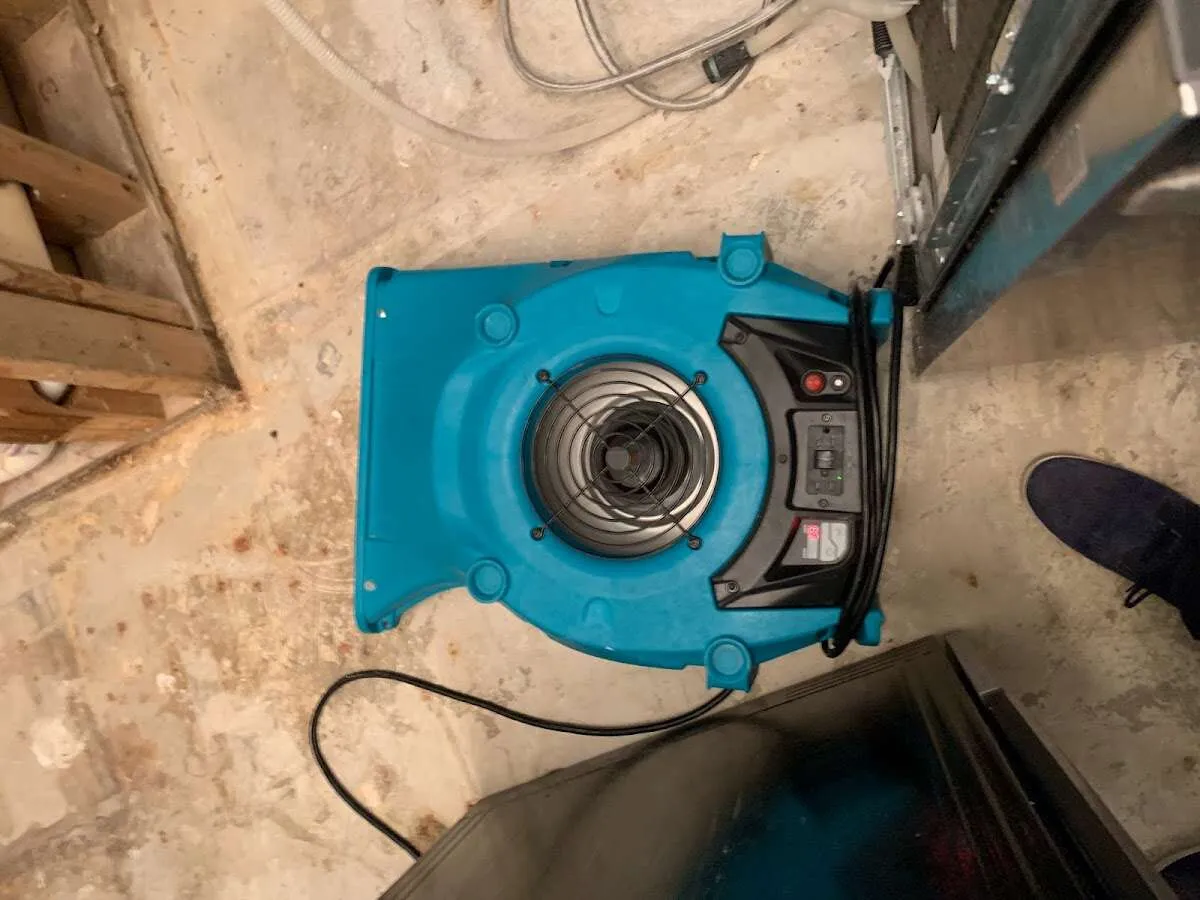 Air mover drying equipment for Mold Remediation & Removal in Destrehan
